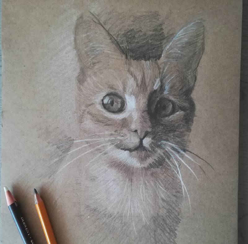 Rysunek, portret kota wykonany na szarym papierze przy pomocy białej kretki i ołówka. Oba narzędzia są widoczne na zdjęciu.